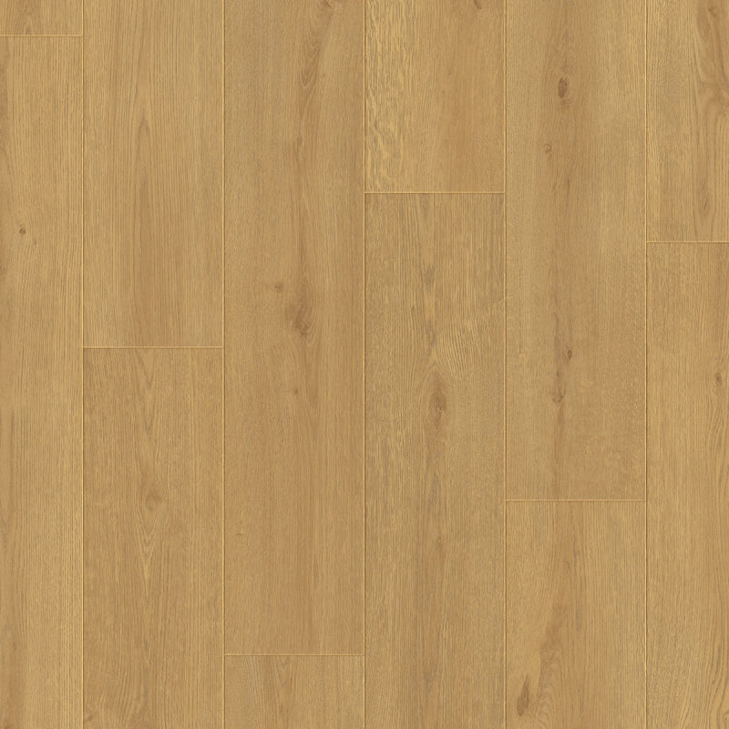 Dahlia Sand, , Laminaat by Homburg