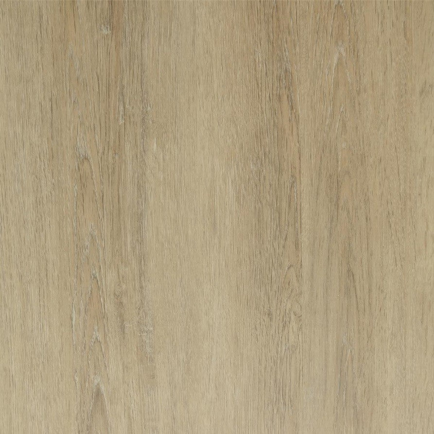 PVC plak 240 x 1230 mm "Dream oak" (dryback / stroken)
