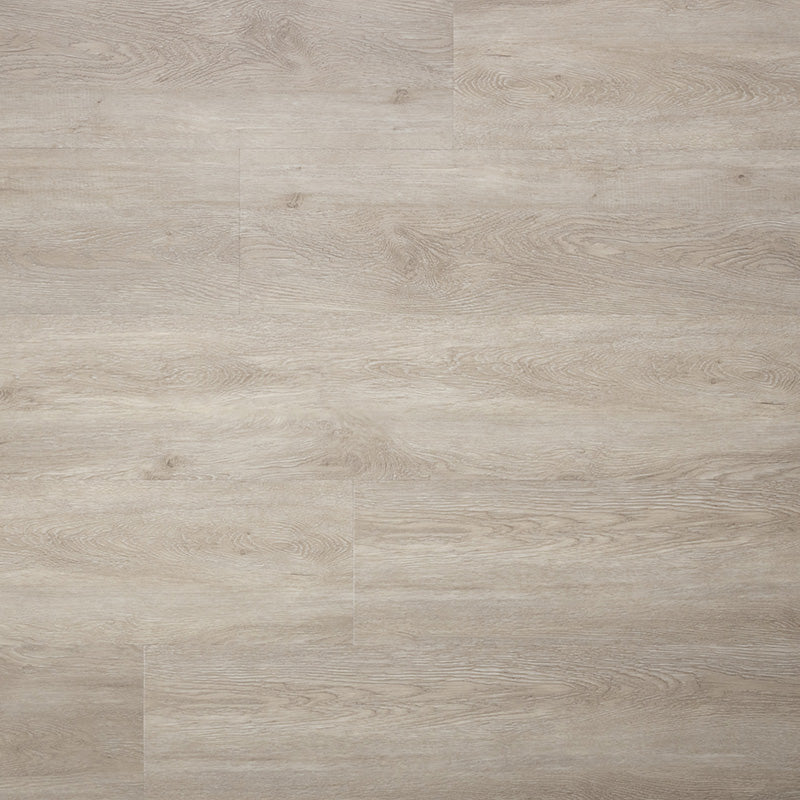 SENSE E10 EIR SPC G 123x22,5 cm