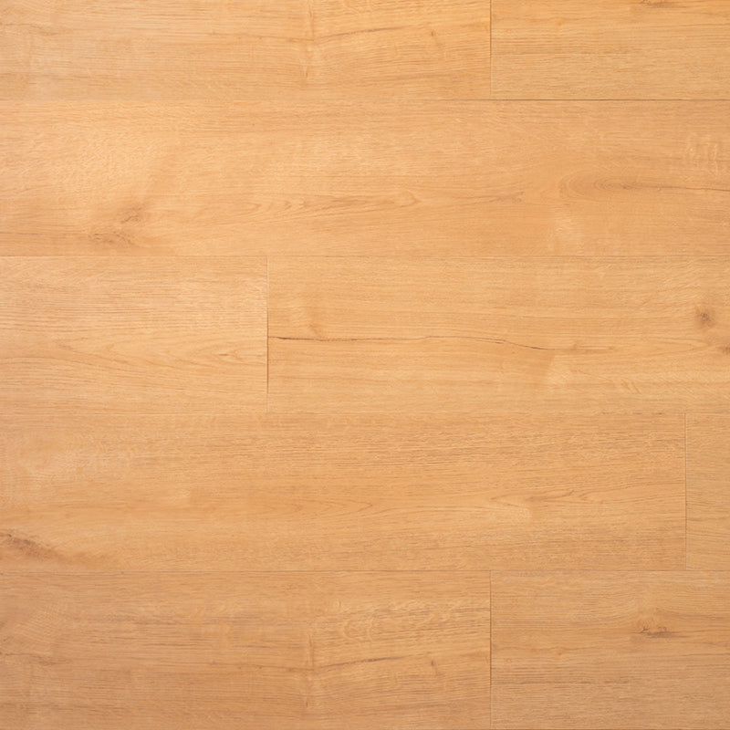 Douwes Dekker PVC dryback plank kletskop