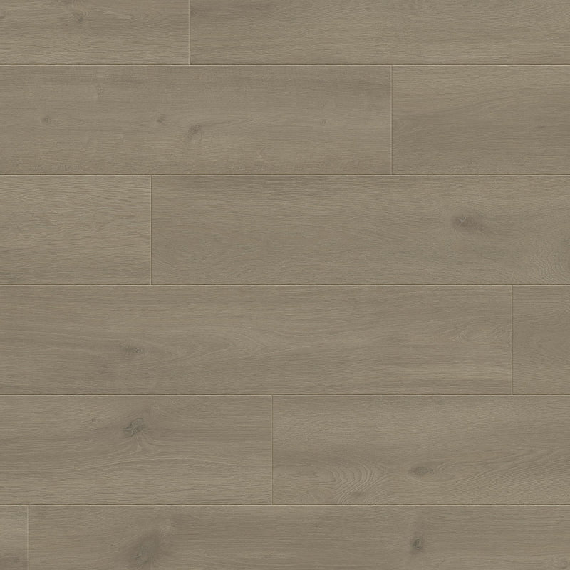 Silk Licht Grijs 24,4 cm PB 4V, Laminaat by Homburg