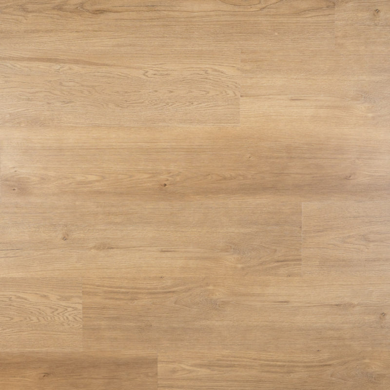 Lux Plank SPC Rigid, PVC by Homburg