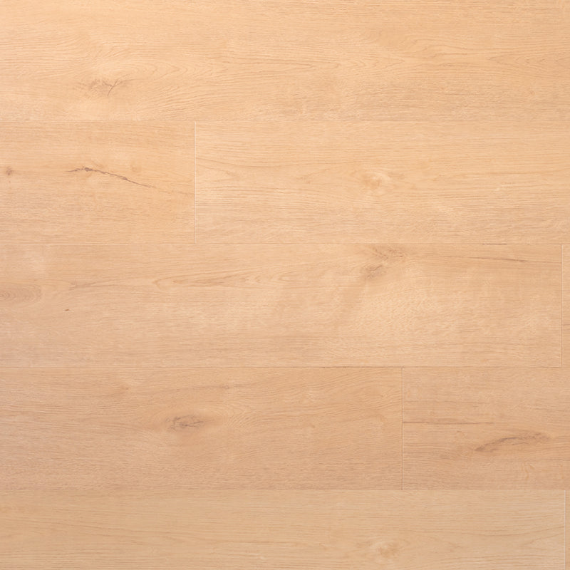 Douwes Dekker PVC dryback plank sprits