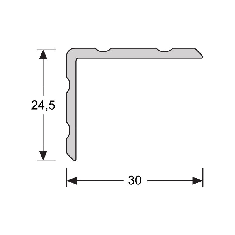 Duo-hoeklijn zelfklevend 24,5 x 30 mm RVS, 300 cm lang