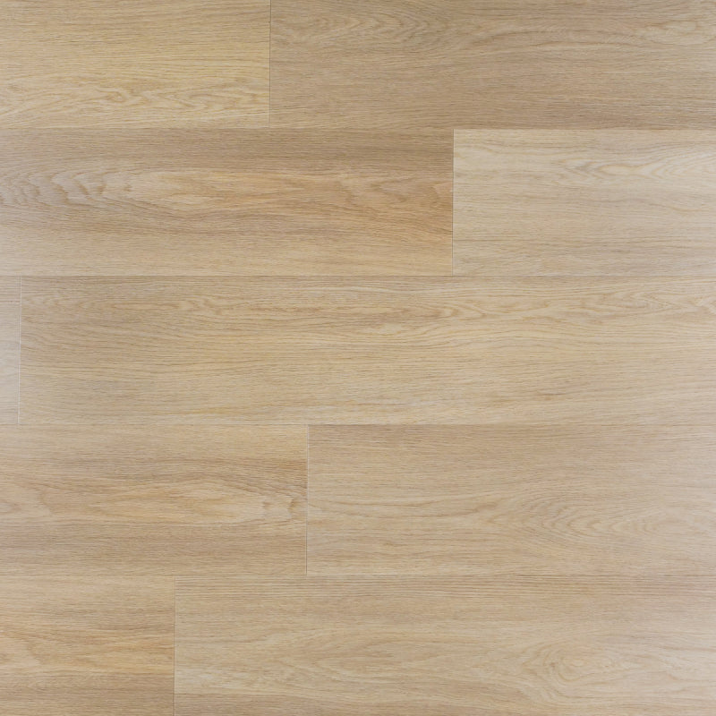 Magnolia plank Dryback, PVC by Homburg
