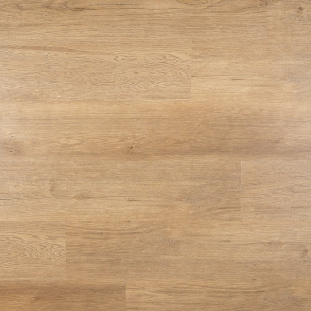 Lux Plank Dryback, PVC by Homburg
